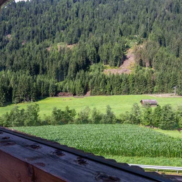 wieserhof vals muehlbach suedtirol 22